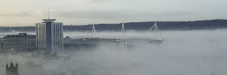 Stuart Peploe banner