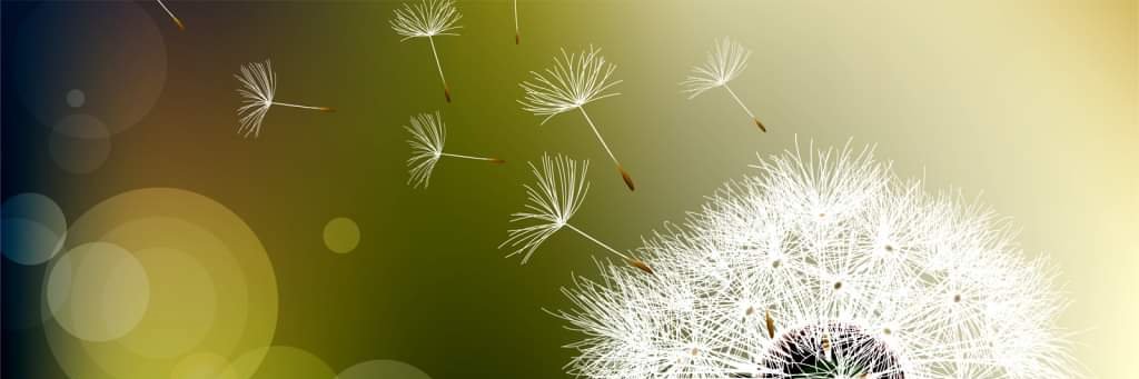 Jacque🐈🍂🎬🎶🔭✈️ banner