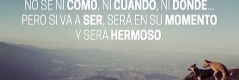 luisaoherdz's profile banner image