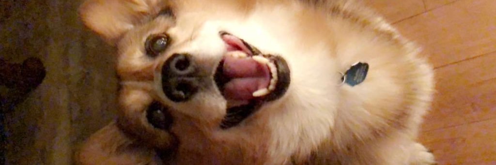 CalebSchmidt__'s profile banner image
