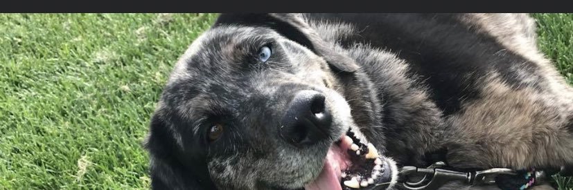 kohlerellsworth's profile banner image