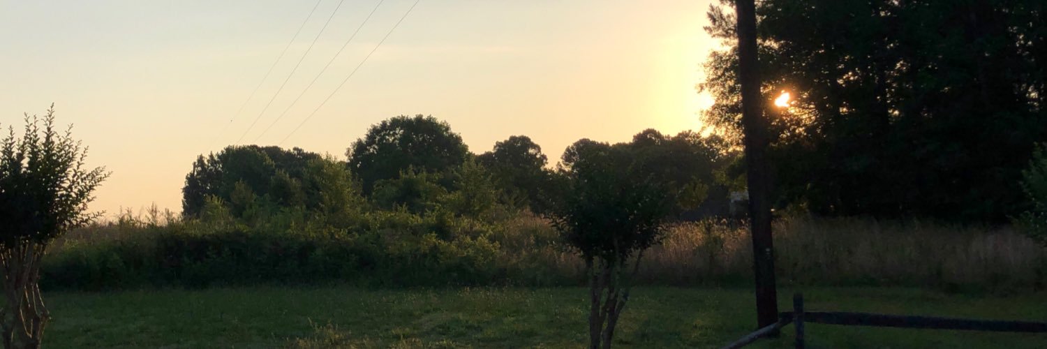 CaptSarahNelson's profile banner image