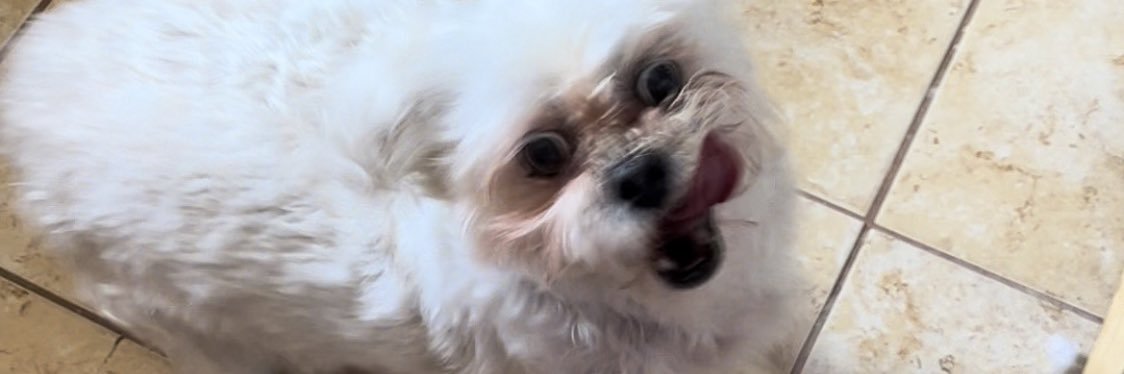 JesssBoruff's profile banner image