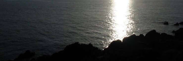 laupie sylvain banner