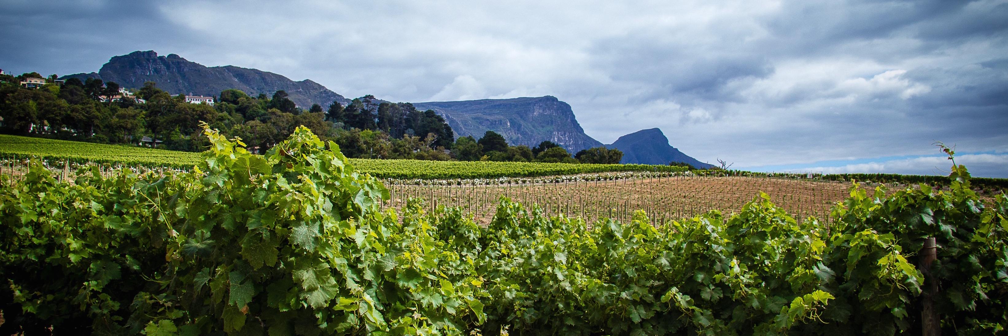 Simon's Restaurant banner