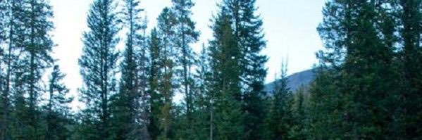 Tune2443's profile banner image