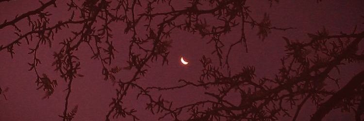 ner_bellamy's profile banner image
