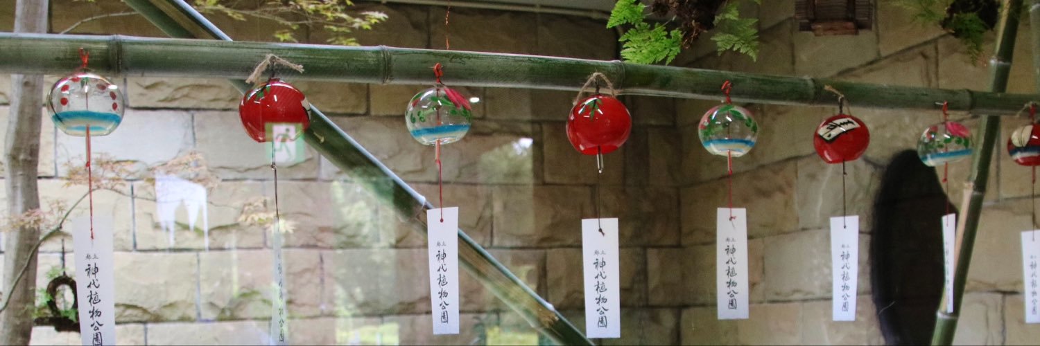 hashibayukiko's profile banner image