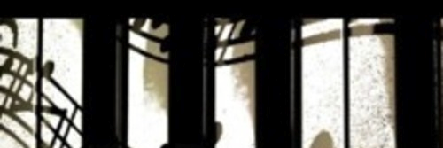 Mike Vibes banner