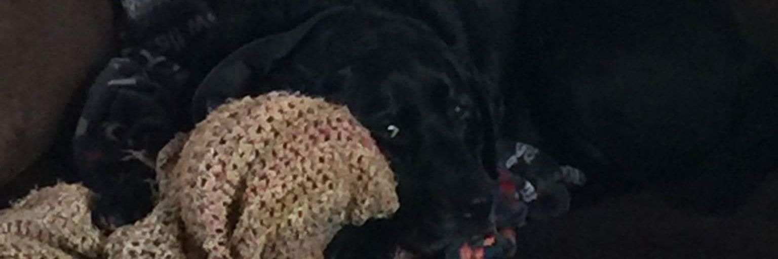 a_ursprung's profile banner image