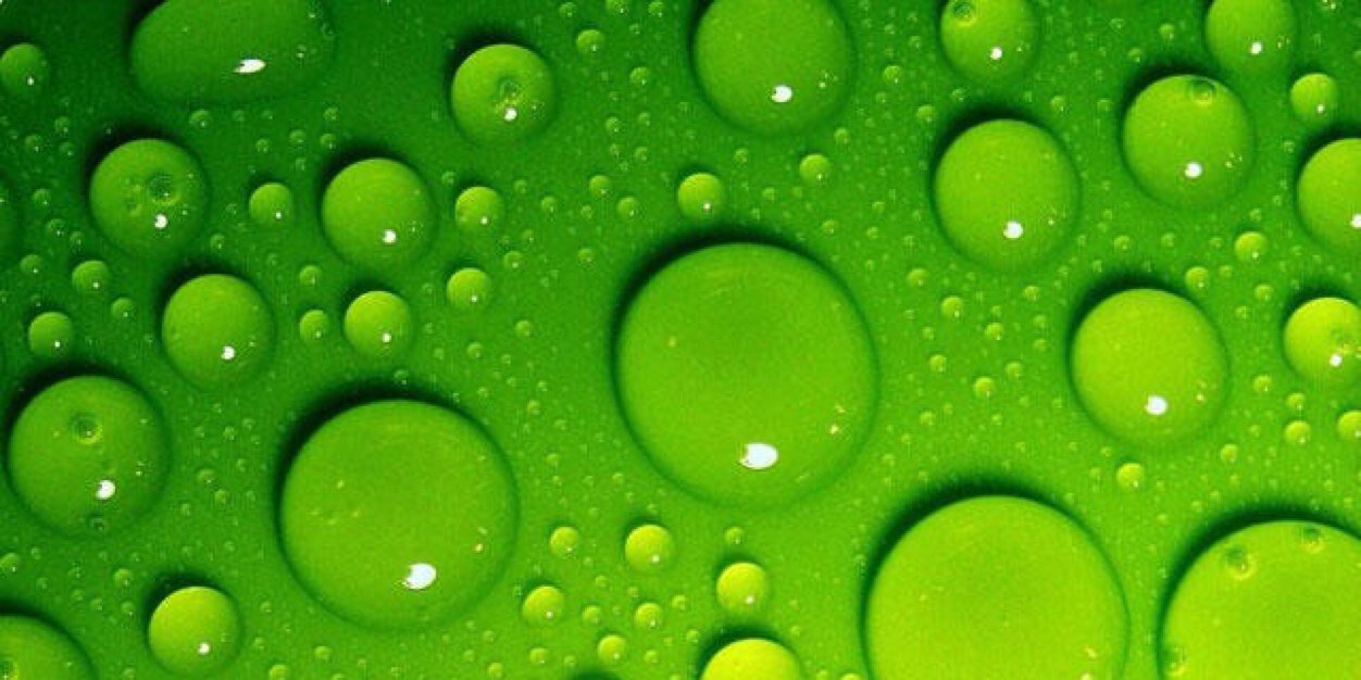willyjohnborges's profile banner image
