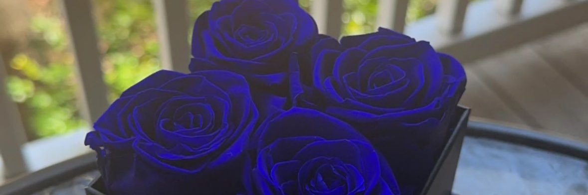 chyllville's profile banner image