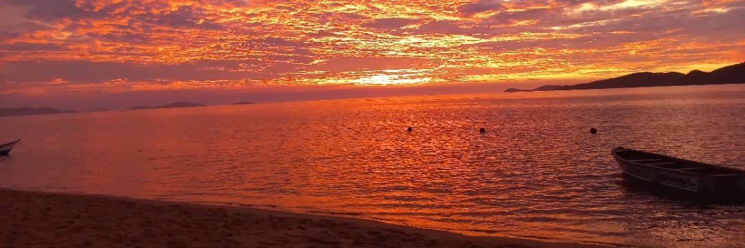 Jose_7ss's profile banner image