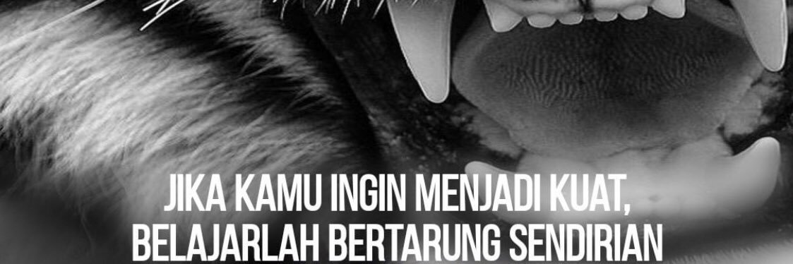 jj_smart_d's profile banner image
