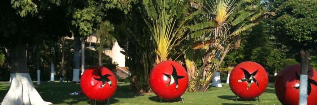 letomatoes's profile banner image