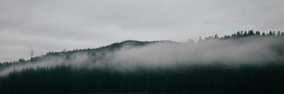 jinu36's profile banner image
