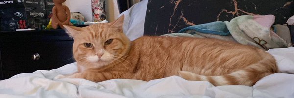 2dopetj Profile Banner