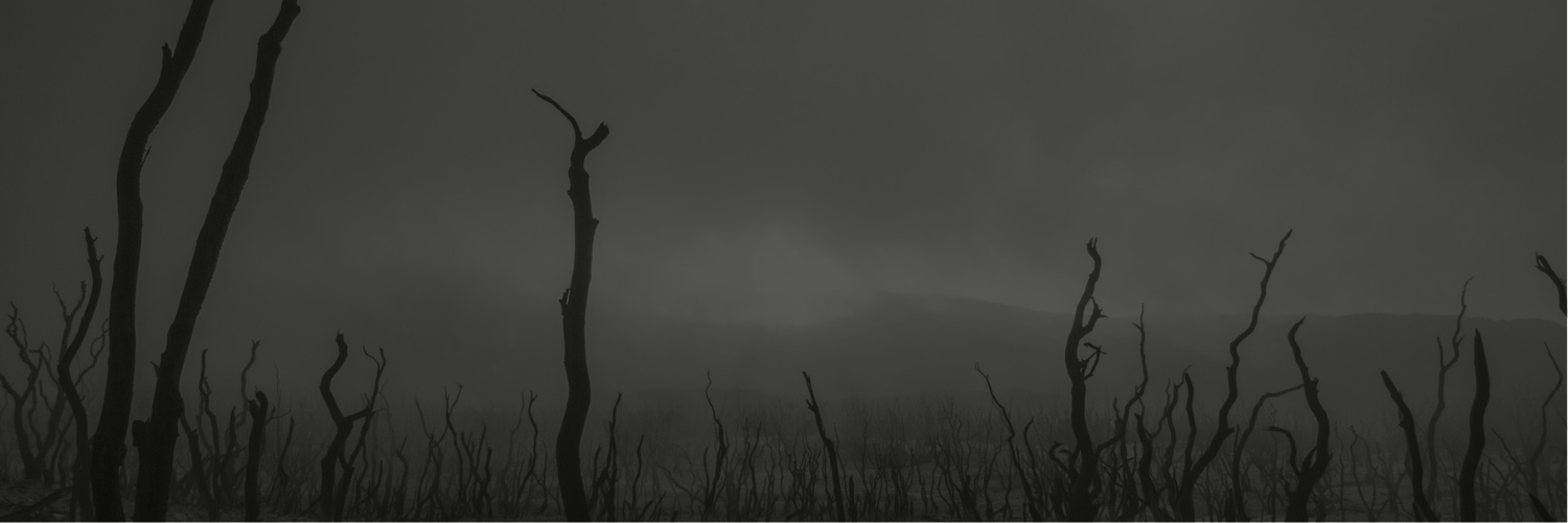 toorconctf's profile banner image