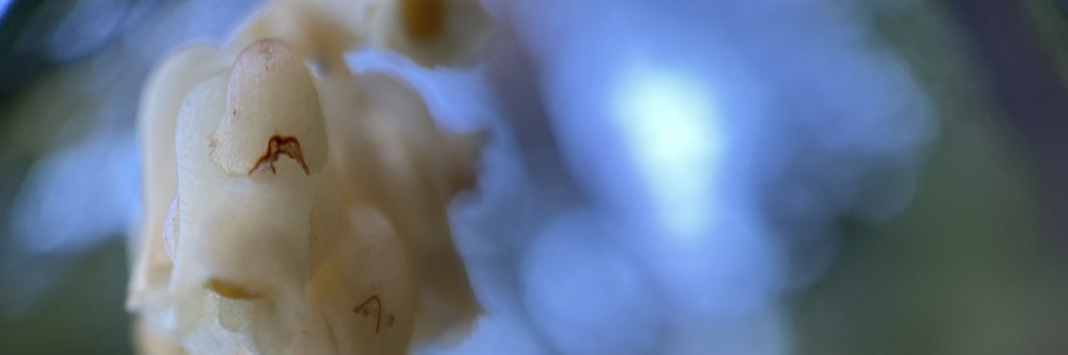FrancisChart's profile banner image