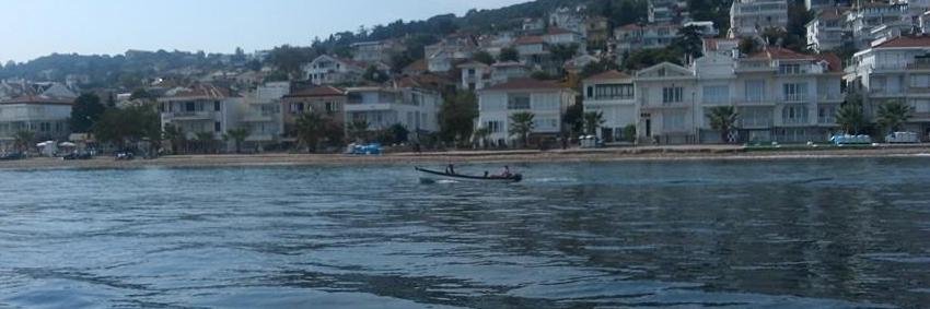 burcupelvanoglu's profile banner image