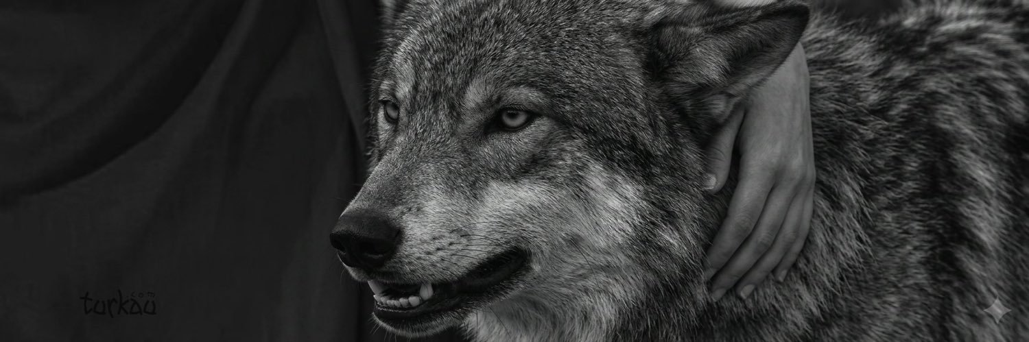 kaanklcc28's profile banner image
