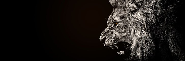 GGShot_ES's profile banner image