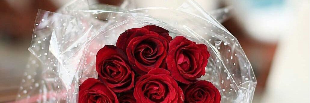 _ghada677's profile banner image