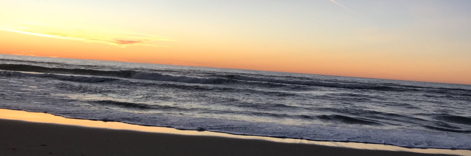 puppapi1's profile banner image