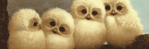 panon2198's profile banner image