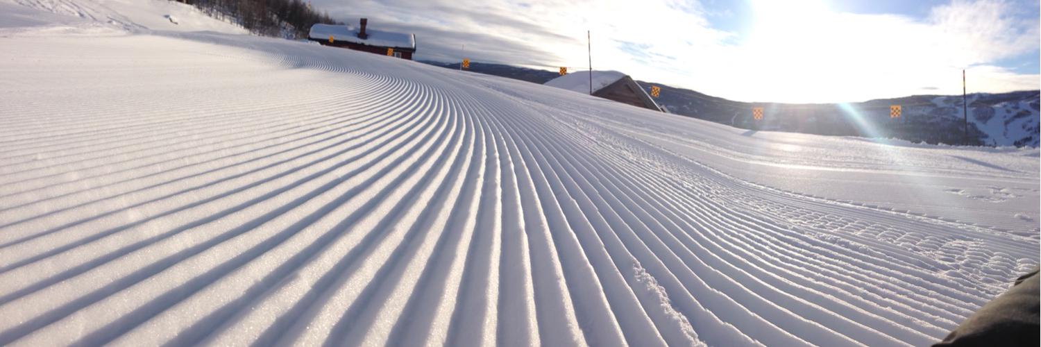 Snowfit (@Snowfit) | Twitter