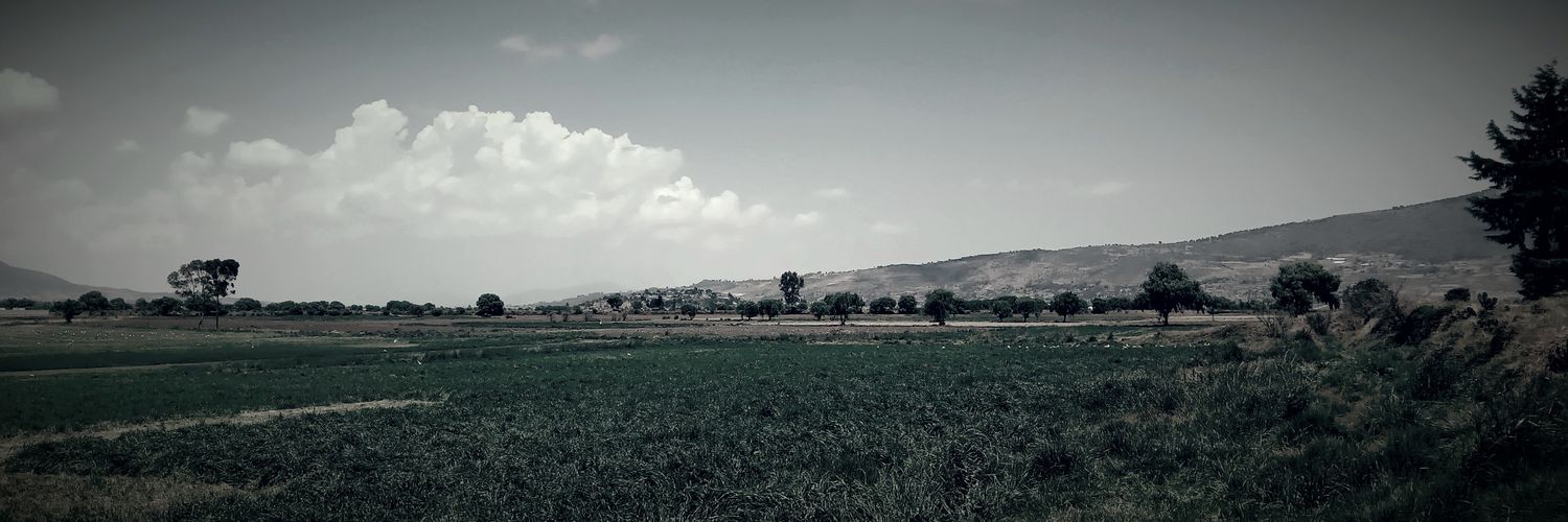 6Tuca's profile banner image