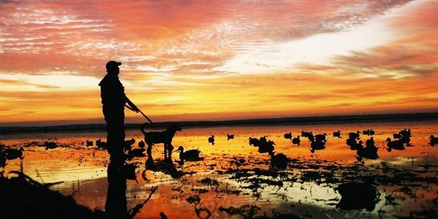 2011wright's profile banner image