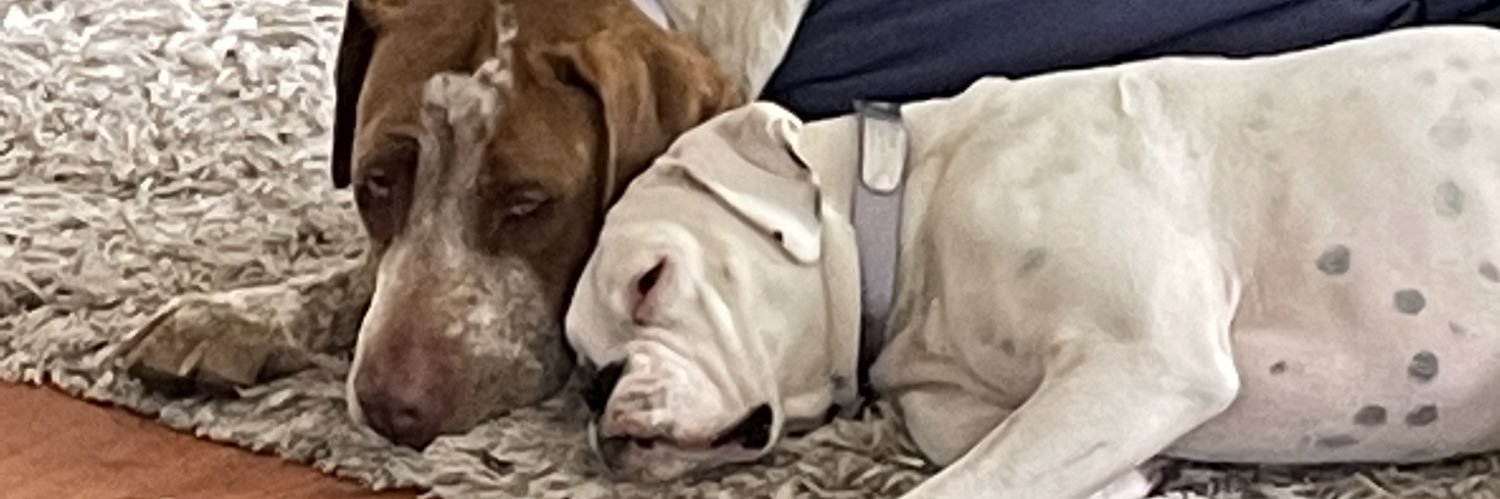 Bradley McNamara banner