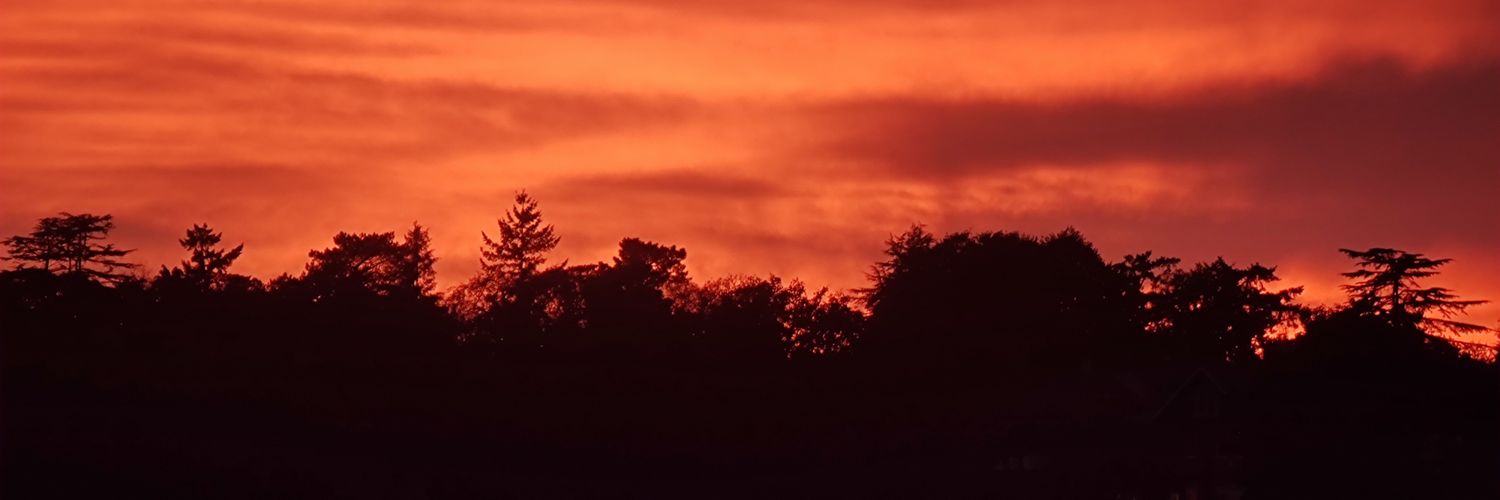 LukeTredinnick's profile banner image
