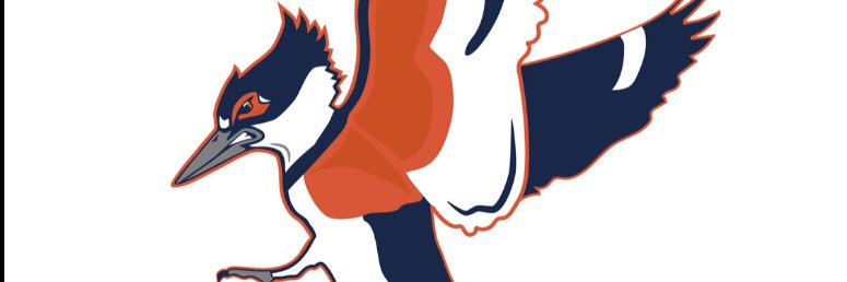 Cam_Haq's profile banner image