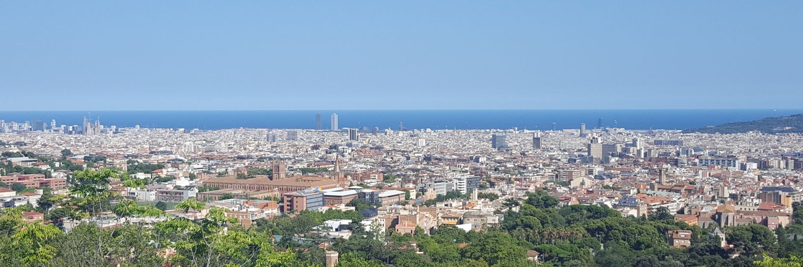 Verónica Royano banner
