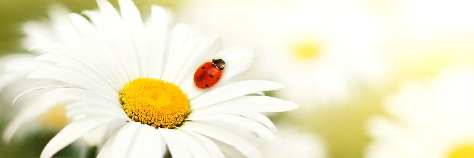 IsabelFraile23's profile banner image