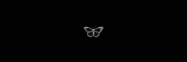 blackswanisms's profile banner image