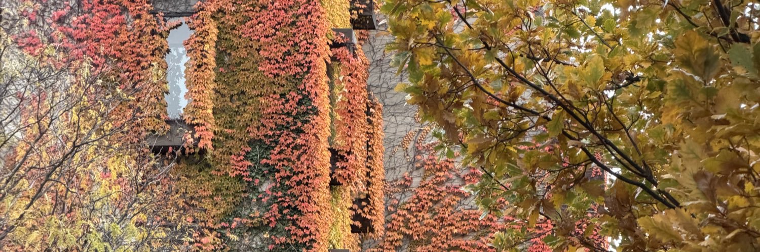RRavasio's profile banner image