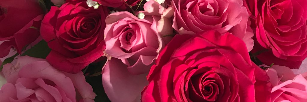 HannahTucker6's profile banner image