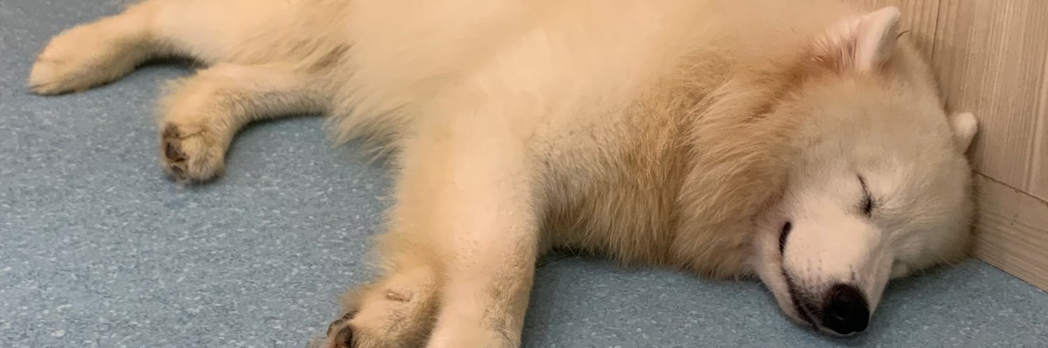 msnjmg's profile banner image