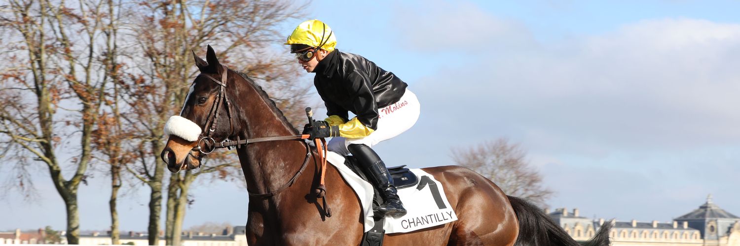 Quentin Bertrand banner