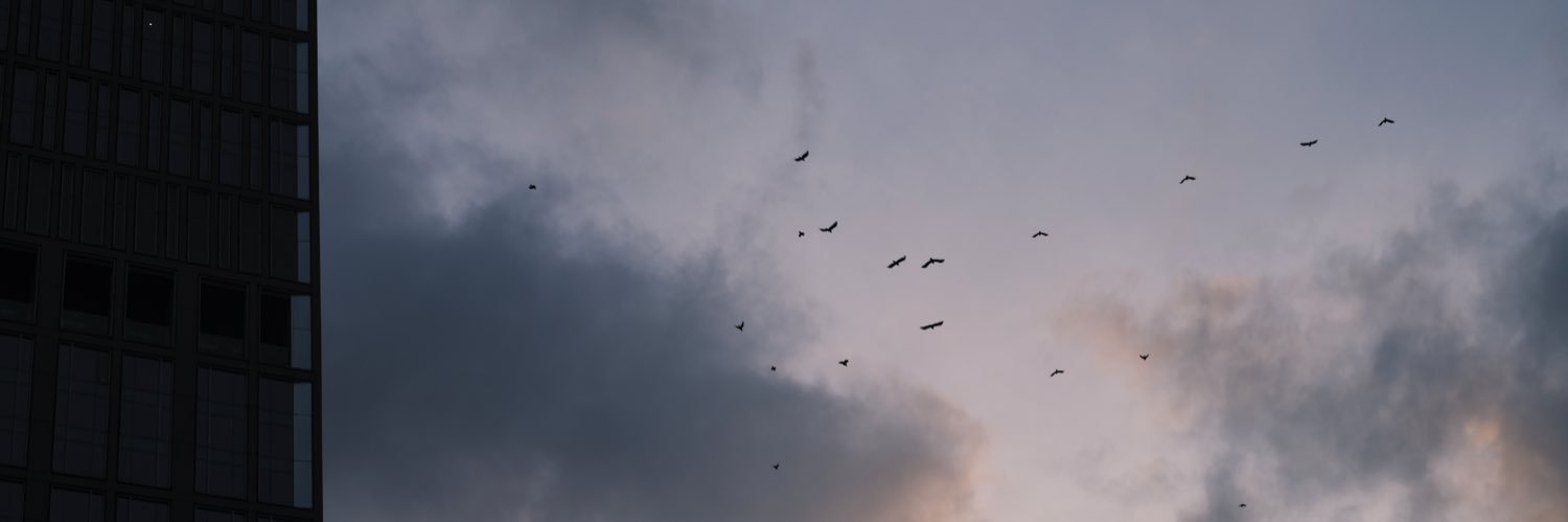 stephen_tez's profile banner image
