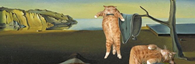 mccanntstop's profile banner image