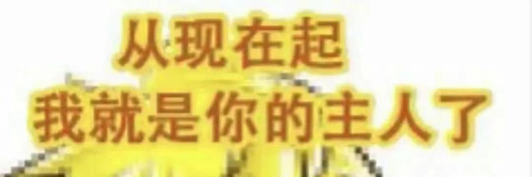 是拜瑞啊～ banner