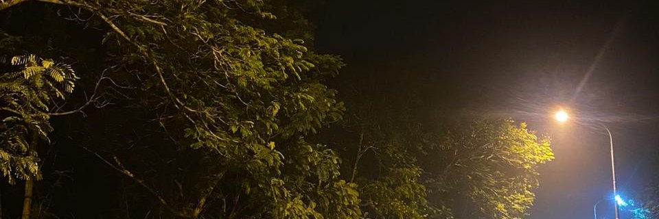 Dorodhee's profile banner image