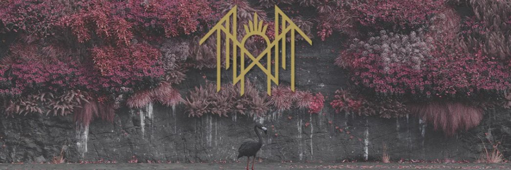 MissLeto_'s profile banner image