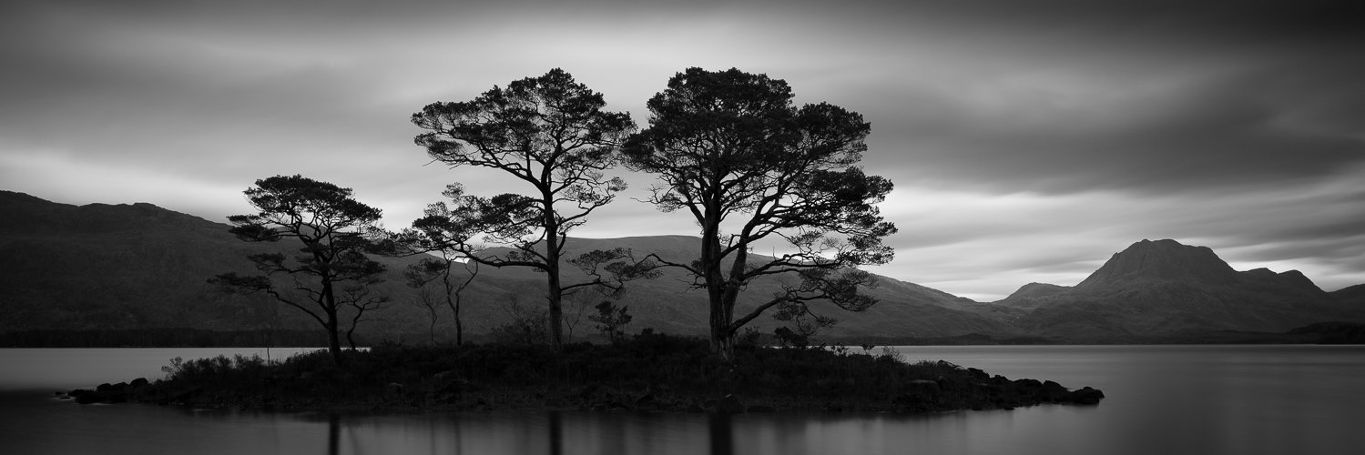 AnnNeumuller's profile banner image