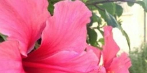 alondranoemi1's profile banner image