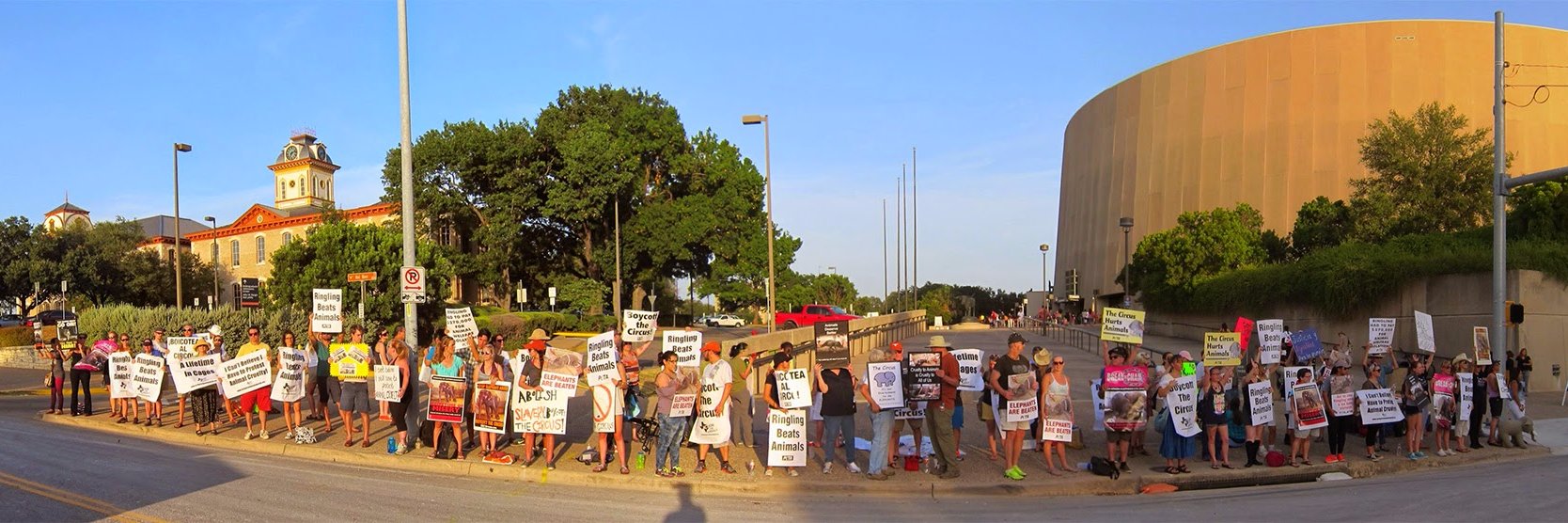 AFAAustin's profile banner image